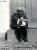 Olsen, Hans Jacob 